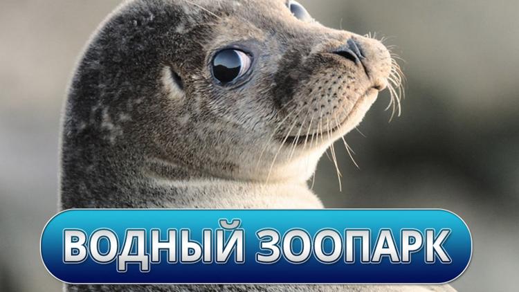 Постер Водный зоопарк