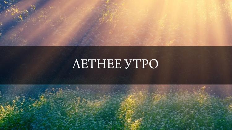 Постер Летнее утро