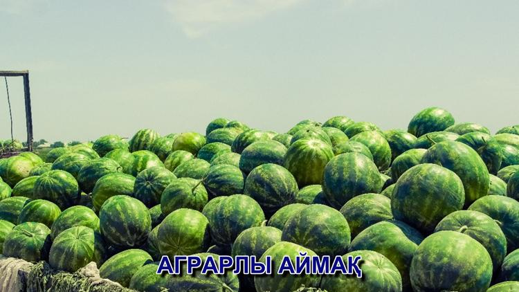 Постер Аграрный регион