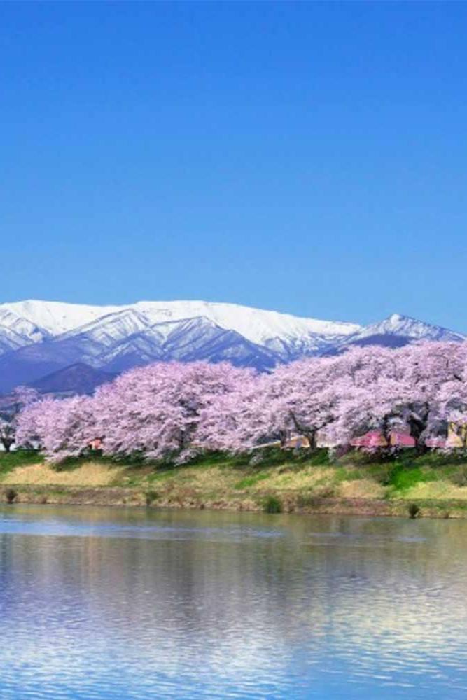 See, Learn, Explore: A Deep Travelogue in Tohoku (see-learn-explore-a-deep-travelogue-in-tohoku) Познавательное