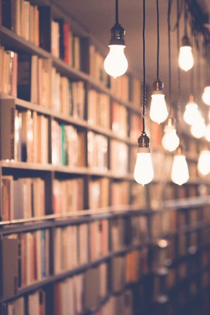 Книжные полки (knizhnye-polki) Познавательное