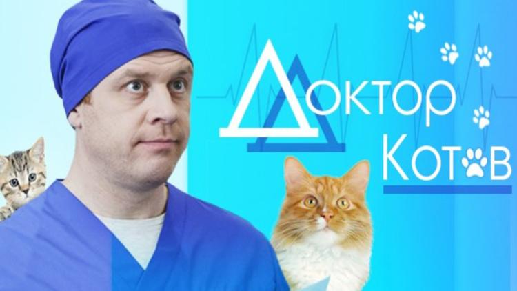 Постер Доктор Котов