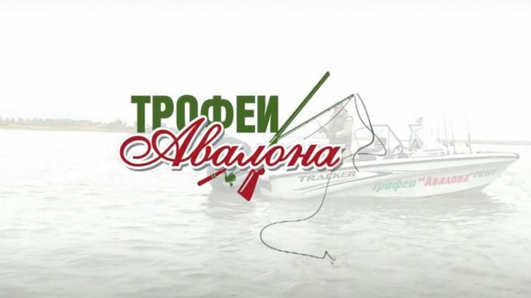 Постер Трофеи Авалона