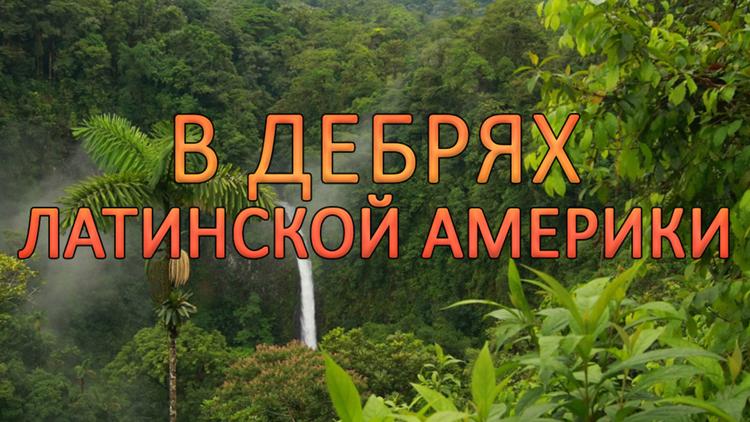 Постер В дебрях Латинской Америки