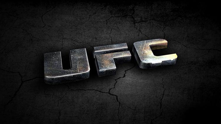 Постер UFC's Road to the Octagon