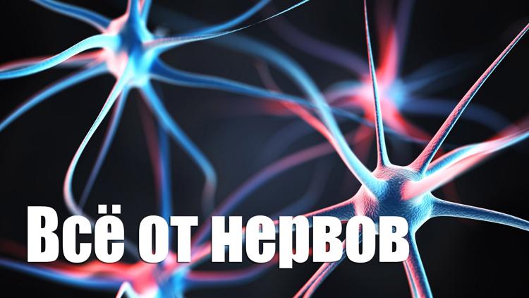 Постер Всё от нервов