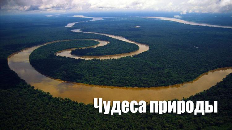 Постер Чудеса природы