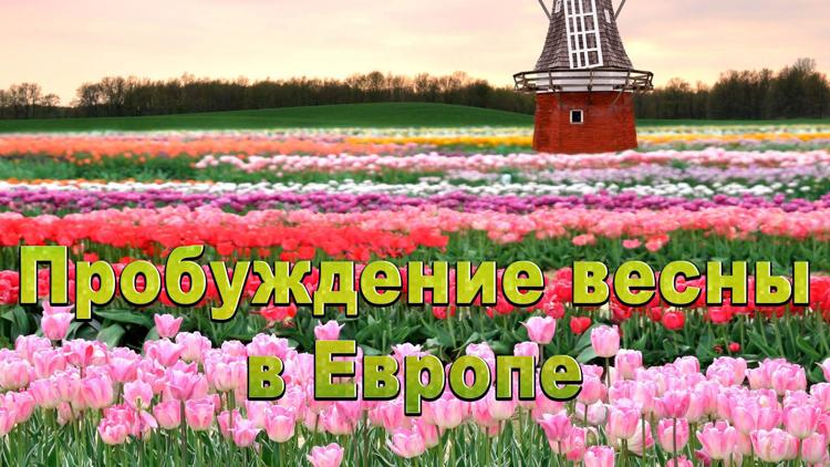 Постер Пробуждение весны в Европе