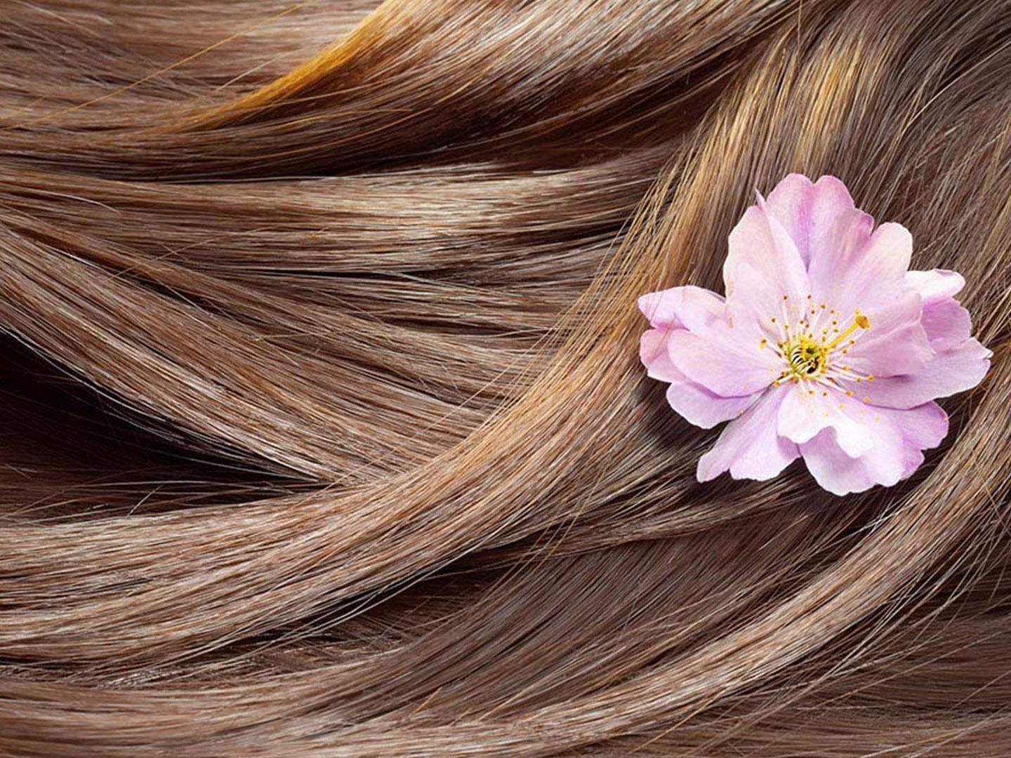 The Doctors Co-host Dr. Batra Talks Hair Regrowth (the-doctors-co-host-dr-batra-talks-hair-regrowth) Досуг, хобби