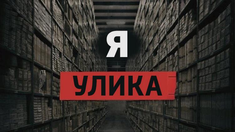 Постер Я улика