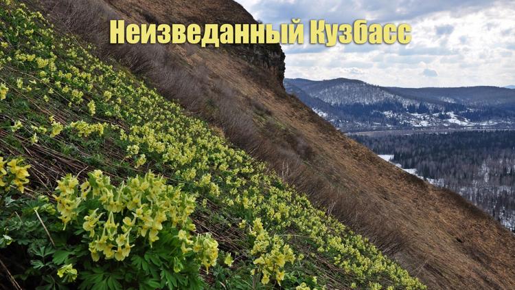 Постер Неизведанный Кузбасс