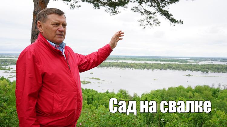 Постер Сад на свалке