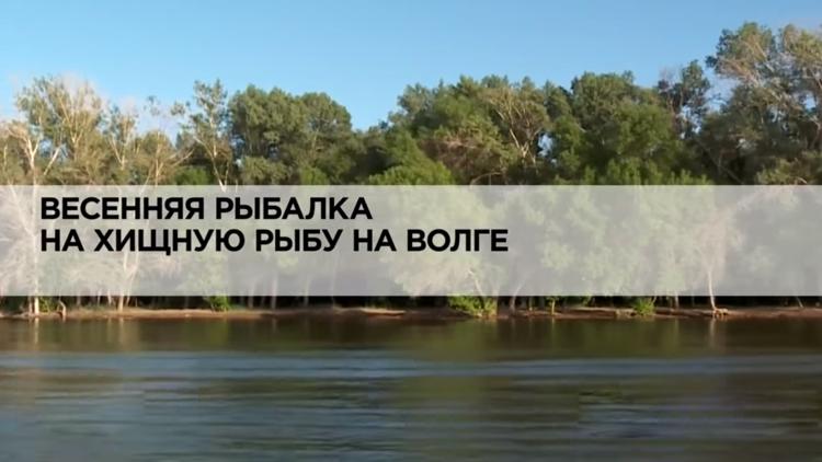 Постер Весенняя рыбалка на хищную рыбу на Волге