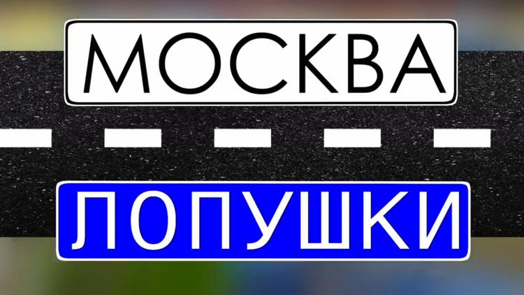 Постер Москва-Лопушки