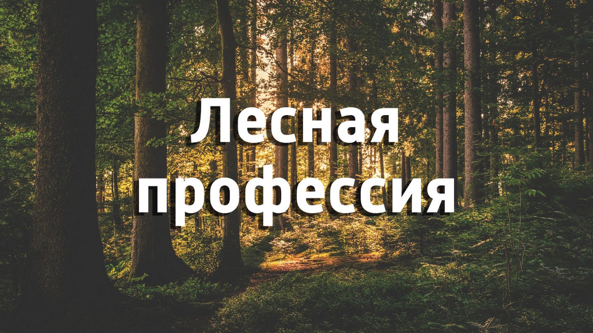 Лесная профессия (lesnaja-professija) Познавательное
