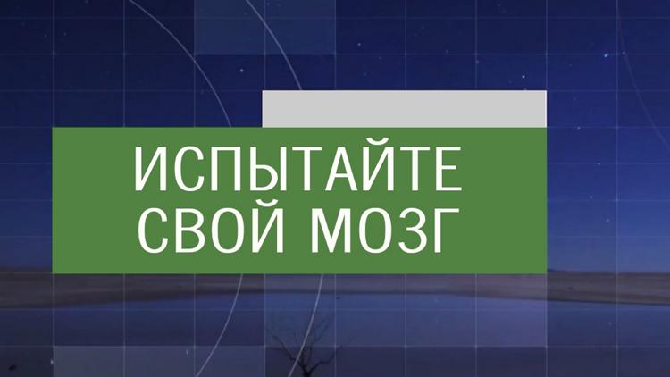 Постер Испытайте свой мозг