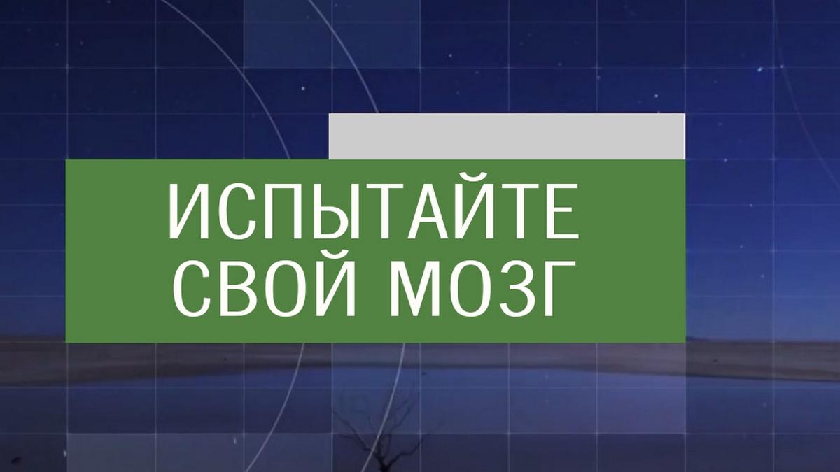 Испытайте свой мозг (ispytajte-svoj-mozg) Документальный сериал