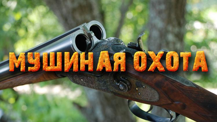 Постер Мушиная охота