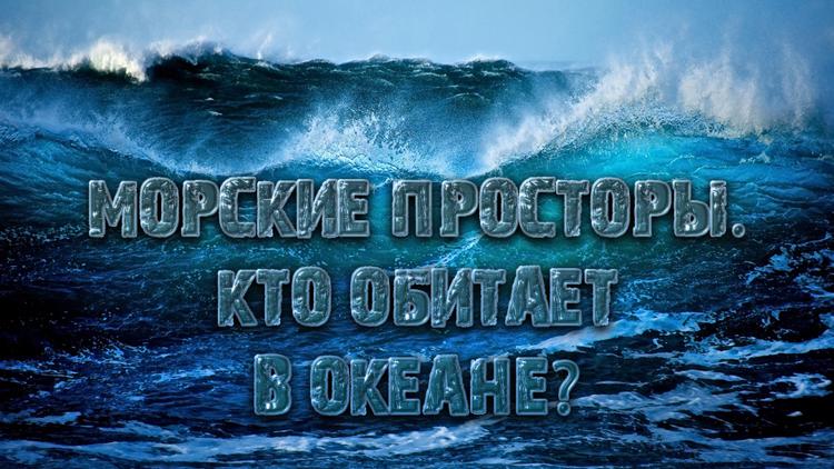 Постер Морские просторы. Кто обитает в океане?