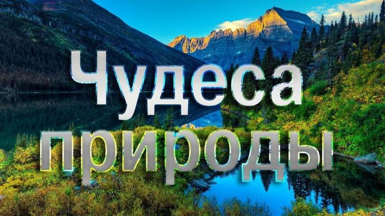 Постер Чудеса природы