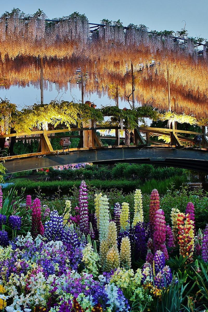 Four Seasons of Granny Mutsuko and a Flower Garden (four-seasons-of-granny-mutsuko-and-a-flower-garden) Досуг, хобби