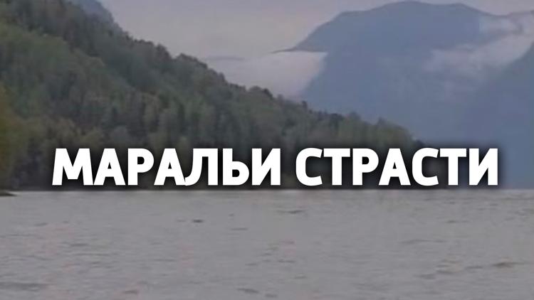 Постер Маральи страсти