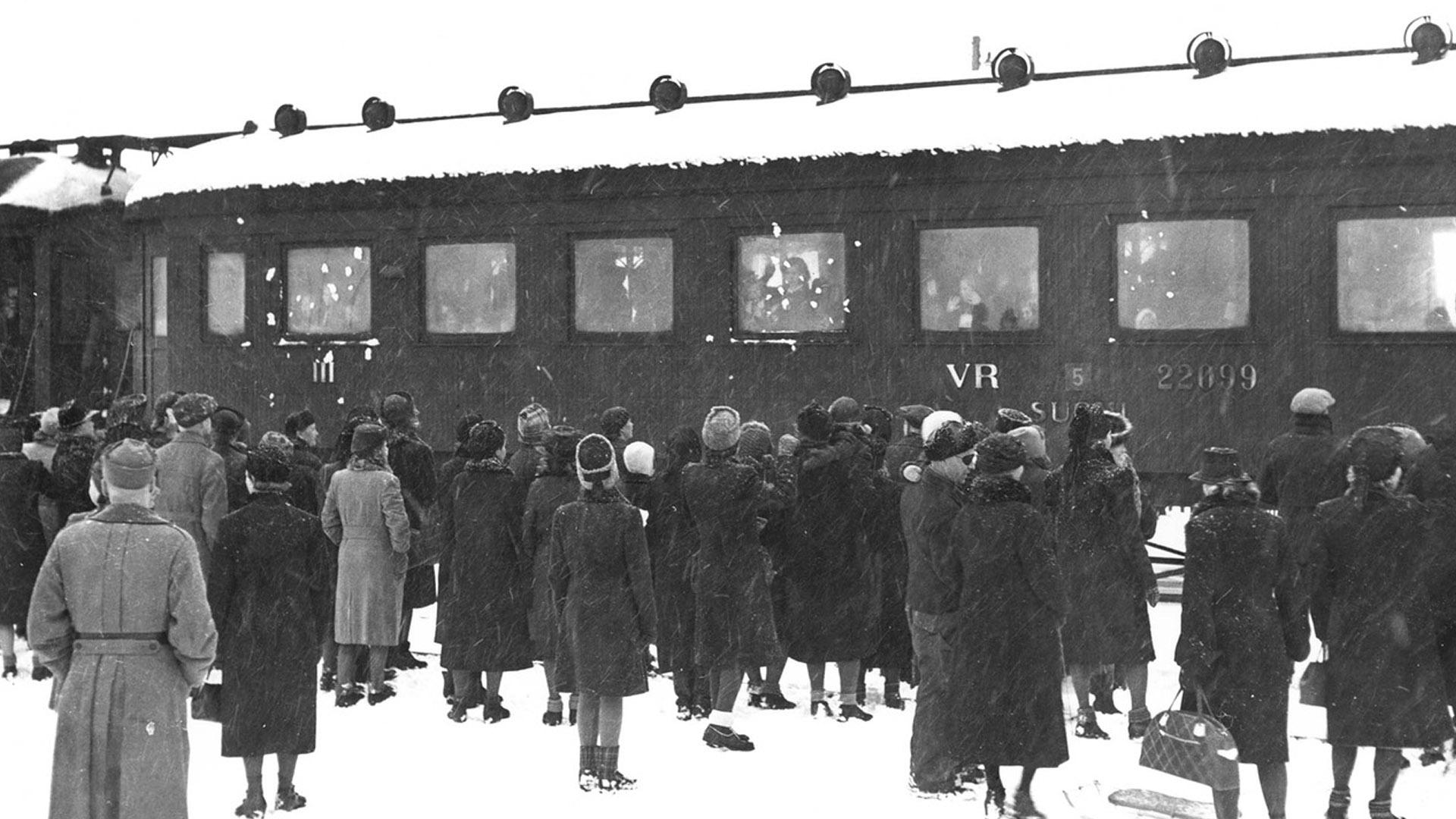 Война и мир. Эвакуация (vojna-i-mir-evakuatsija) Документальный сериал