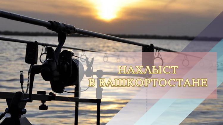 Постер Нахлыст в Башкортостане