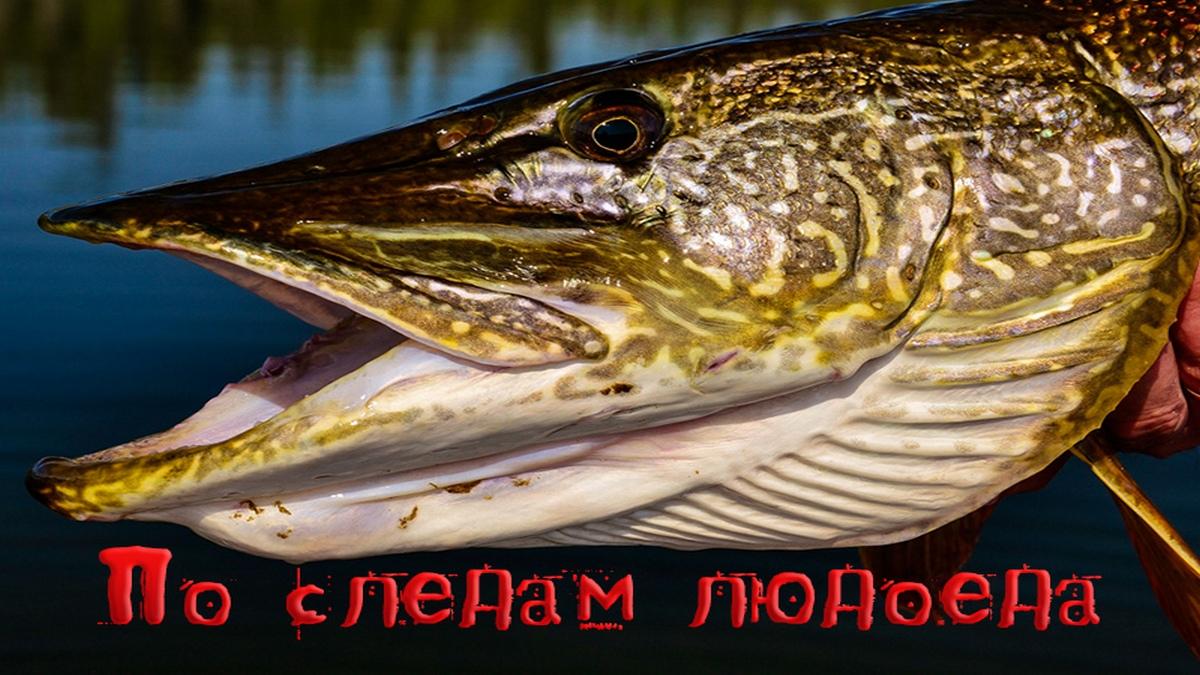 По следам людоеда (po-sledam-ljudoeda) Документальный фильм