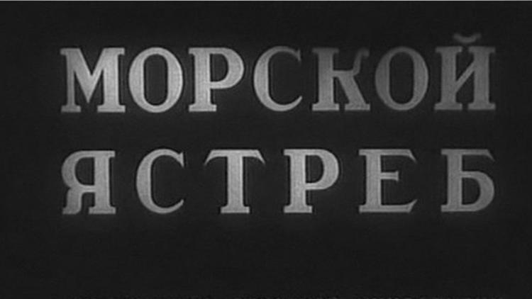 Постер Морской ястреб