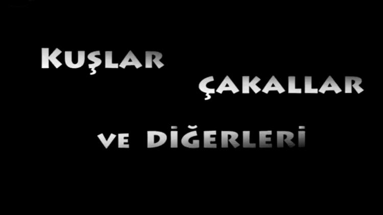 Постер Kuşlar, Çakallar ve Diğerleri