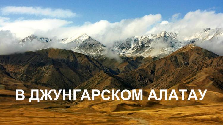 Постер В Джунгарском Алатау