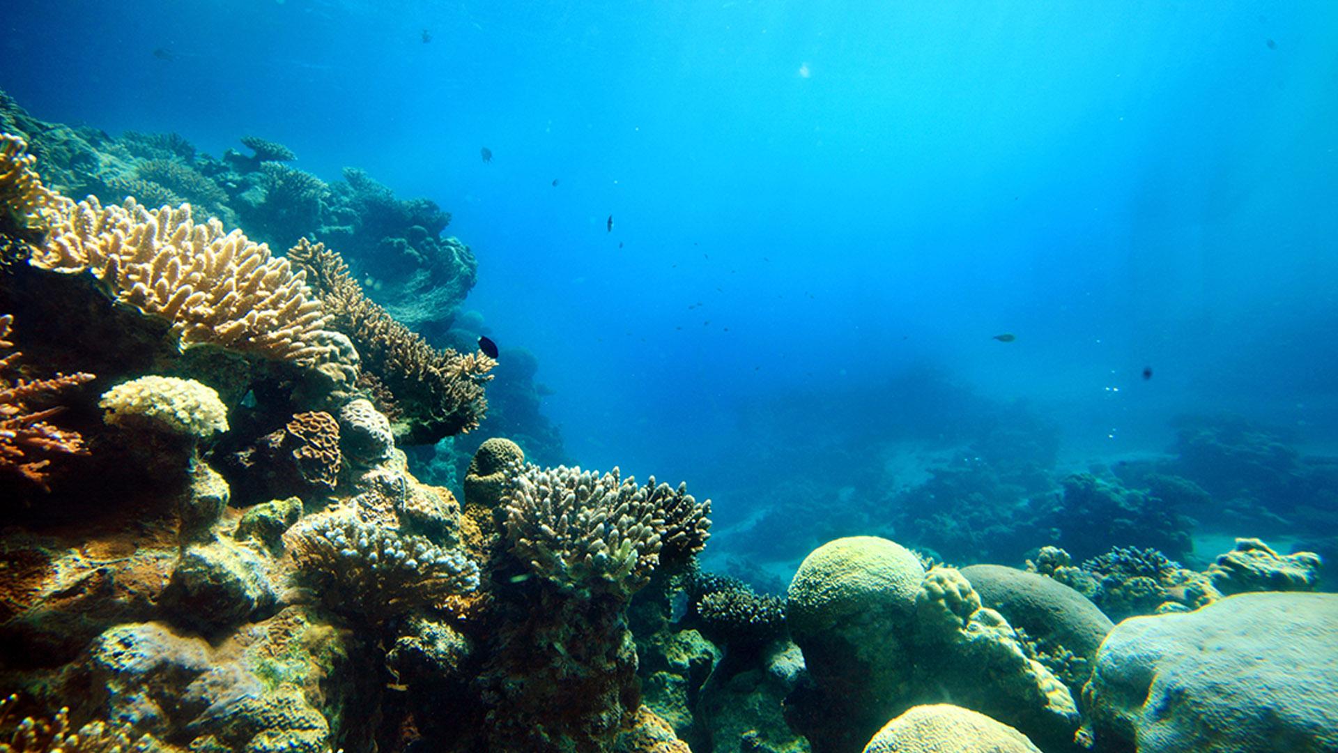 Происхождение Океана (proishozhdenie-okeana) Документальный фильм