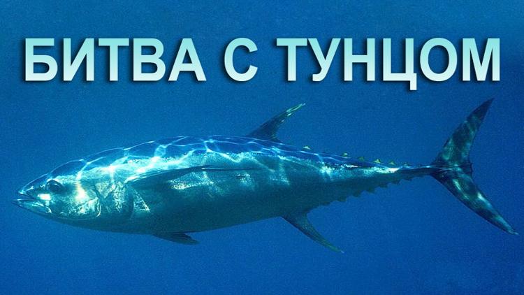 Постер Битва с тунцом