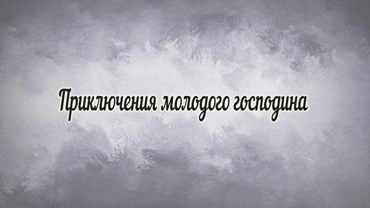 Постер Приключения молодого господина