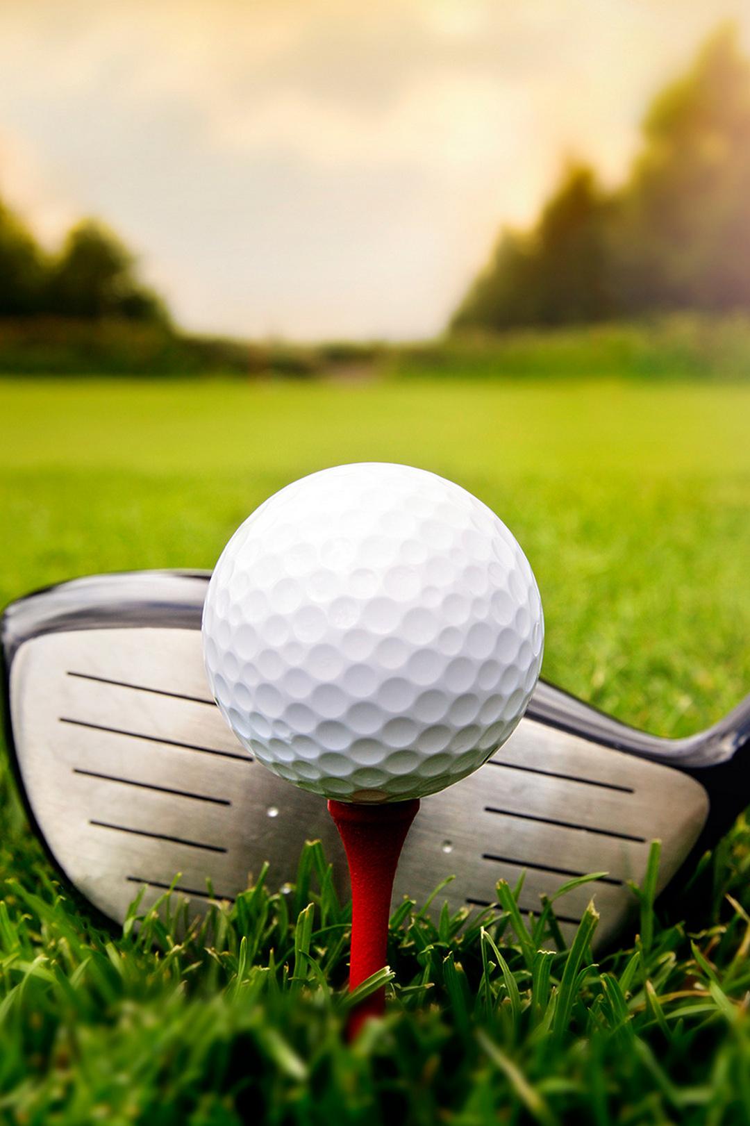 Гольф. Превью к Туру ЕвроПро (golf-prevju-k-turu-evropro) Досуг, хобби