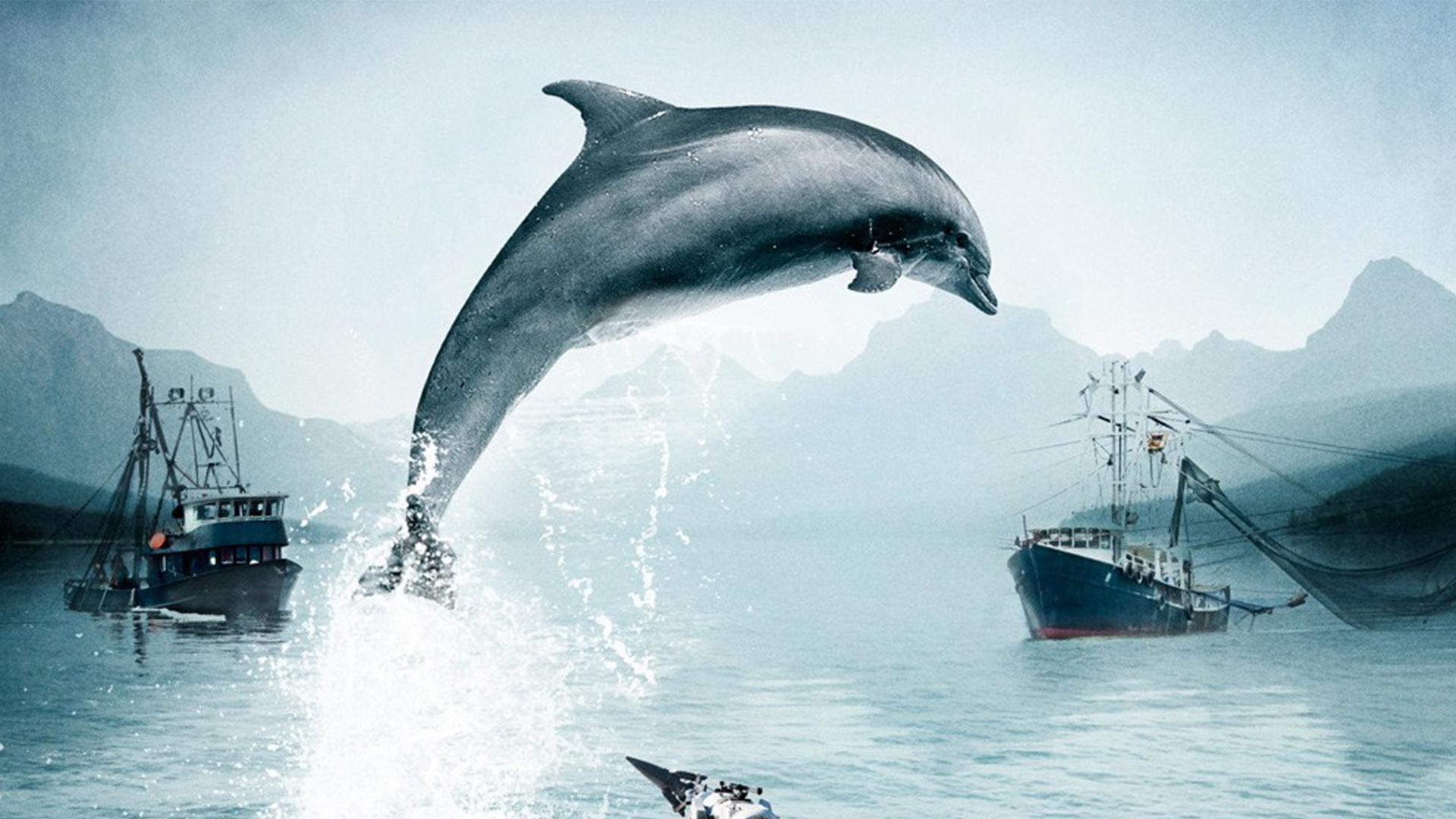 Бухта (buhta) Документальный фильм