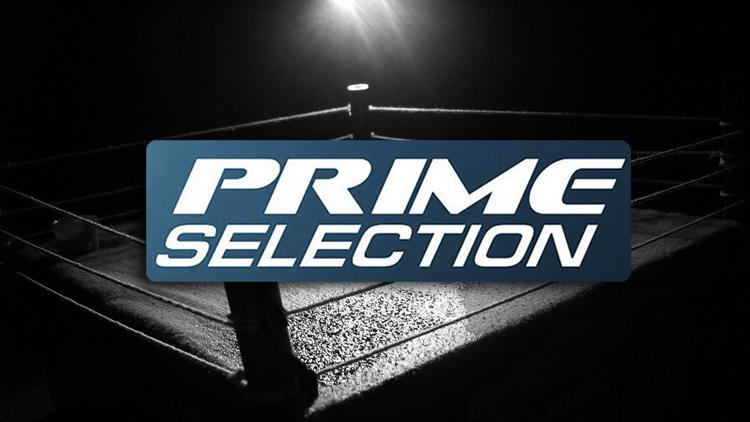 Постер Смешанные единоборства. PrimeSelection. Данил Винник против Артёма Пашпорина