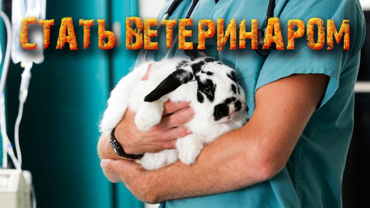 Постер Стать ветеринаром