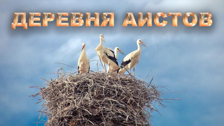 Постер Деревня аистов