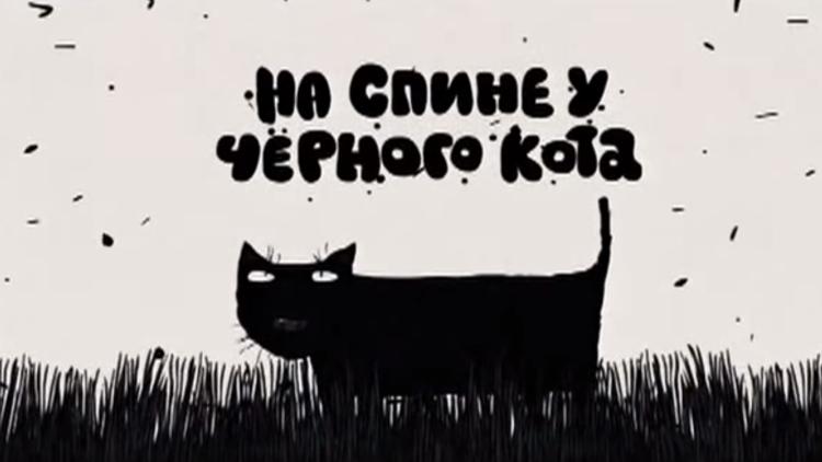 Постер На спине у чёрного кота