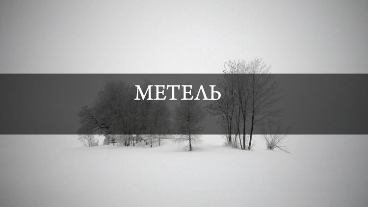 Постер Метель