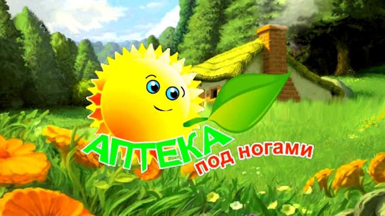 Постер Аптека под ногами