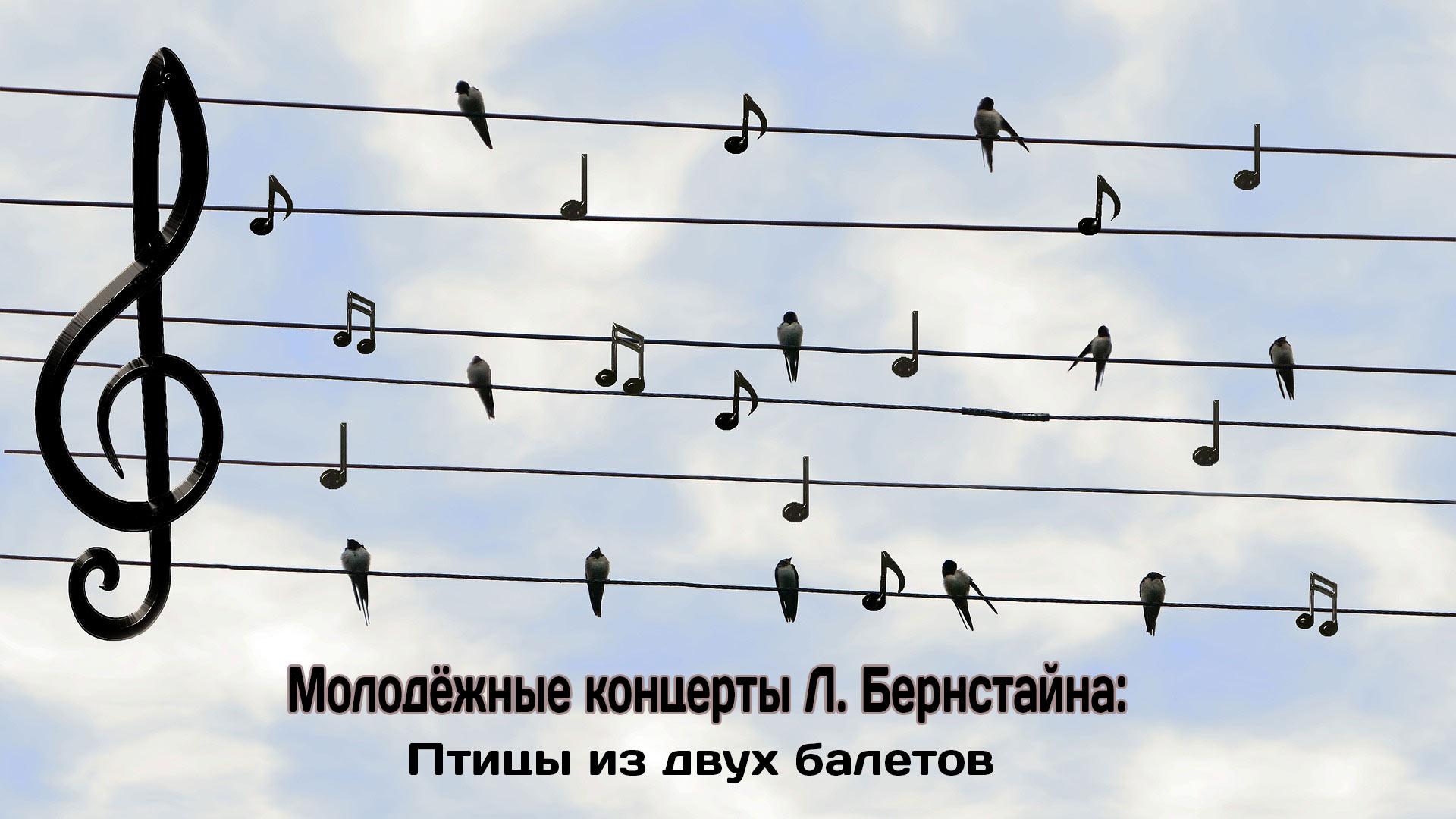 Молодёжные концерты Л. Бернстайна: Птицы из двух балетов (molodezhnye-kontserty-l-bernstajna-ptitsy-iz-dvuh-baletov) Документальный фильм