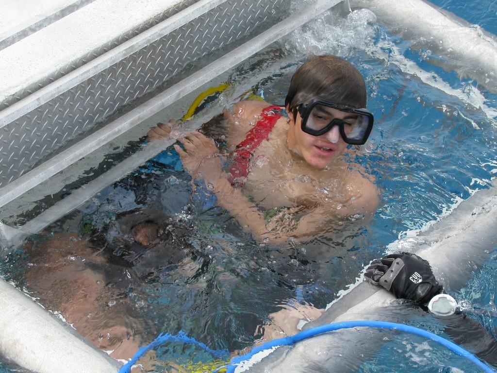 Дикий нрав (dikij-nrav) Документальный сериал