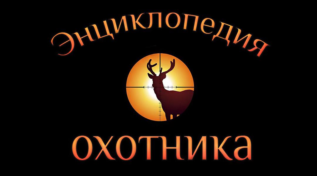 Энциклопедия охотника (entsiklopedija-ohotnika) Познавательное