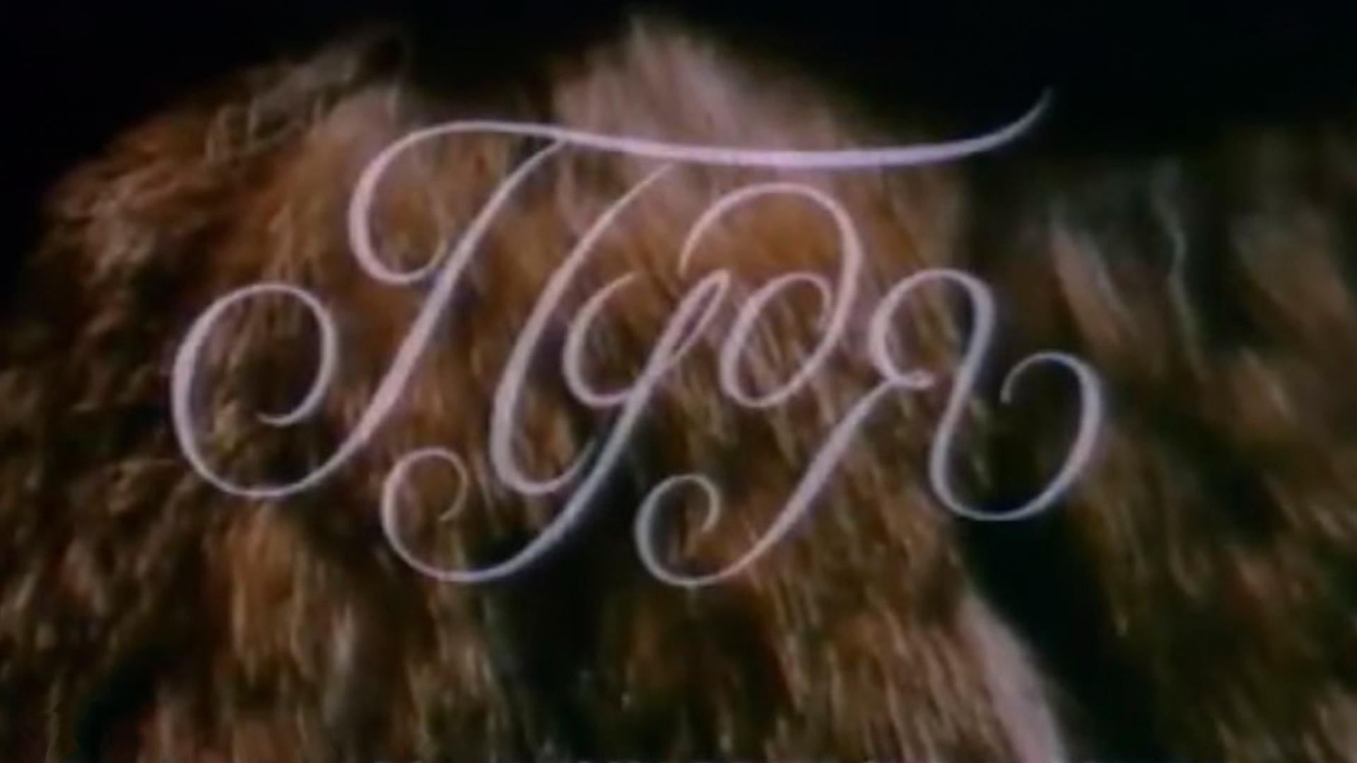 Пудя (pudja) Мультфильм 1990