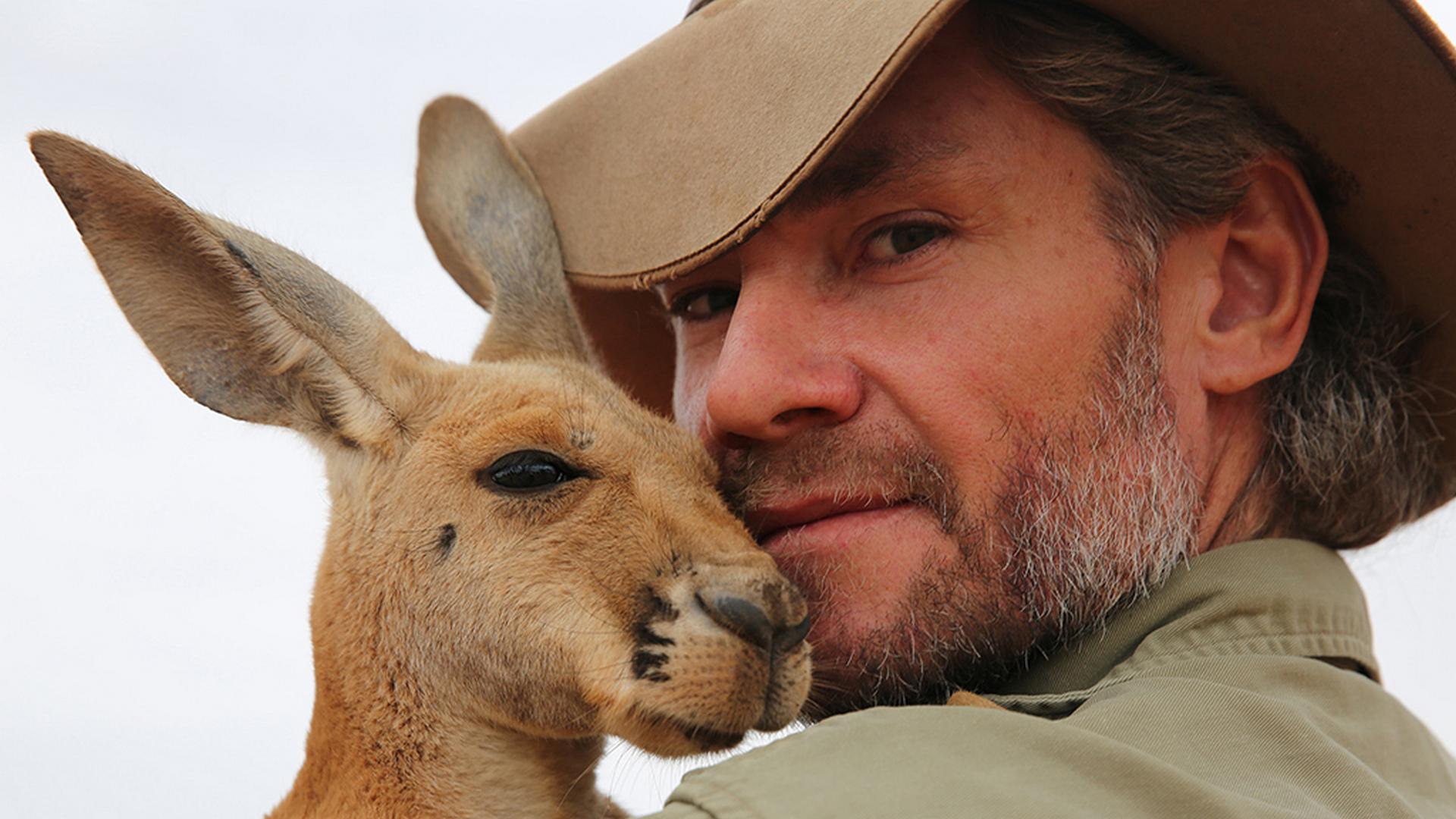 Дикая школа (dikaja-shkola) Документальный сериал