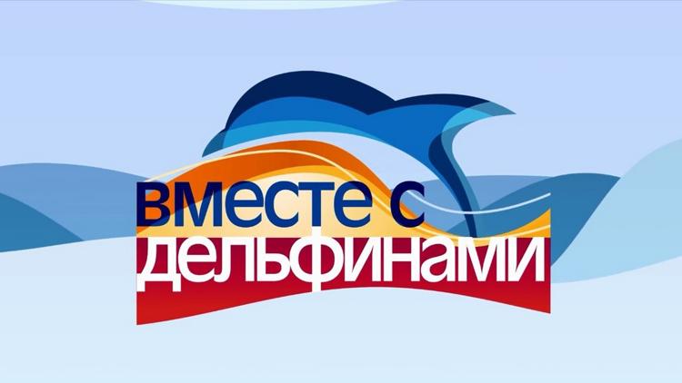 Постер Вместе с дельфинами