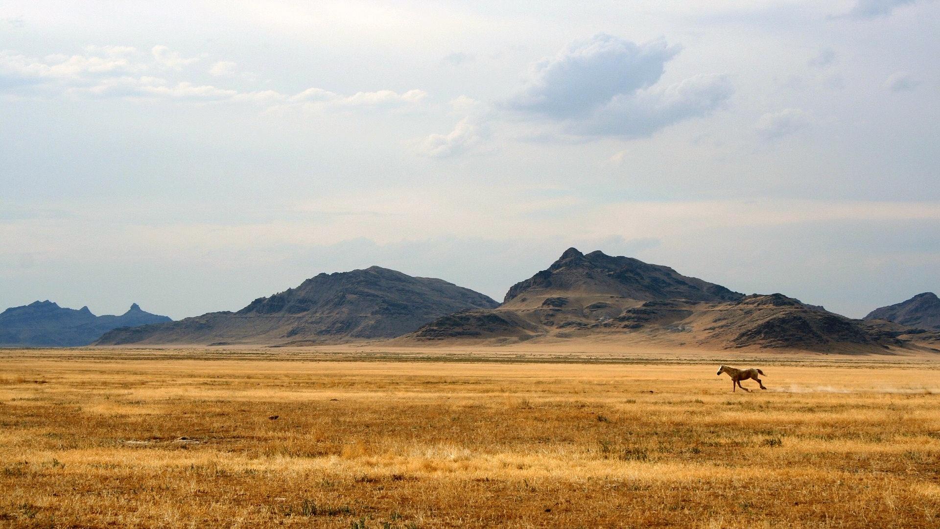 Legends of the Steppes: The Truth About the Golden Warrior (legends-of-the-steppes-the-truth-about-the-golden-warrior) Документальный фильм